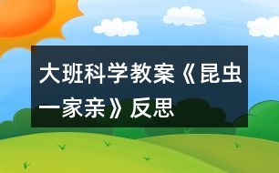 大班科學(xué)教案《昆蟲(chóng)一家親》反思