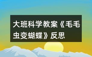 大班科學(xué)教案《毛毛蟲變蝴蝶》反思