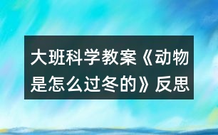 大班科學(xué)教案《動(dòng)物是怎么過冬的》反思