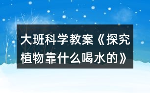 大班科學教案《探究植物靠什么喝水的》反思