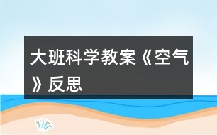 大班科學教案《空氣》反思