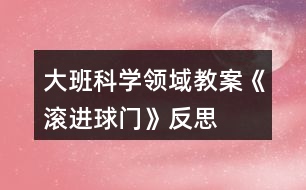 大班科學(xué)領(lǐng)域教案《滾進球門》反思