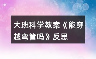 大班科學(xué)教案《能穿越彎管嗎》反思