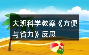 大班科學教案《方便與省力》反思