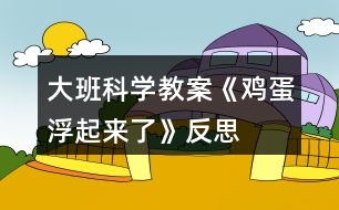 大班科學教案《雞蛋浮起來了》反思