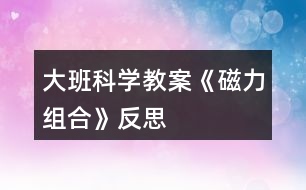 大班科學(xué)教案《磁力組合》反思