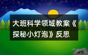 大班科學(xué)領(lǐng)域教案《探秘小燈泡》反思