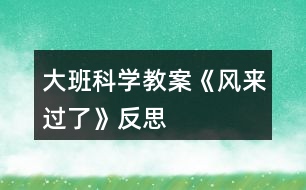 大班科學教案《風來過了》反思