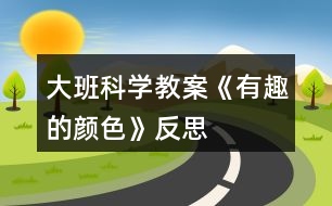 大班科學教案《有趣的顏色》反思