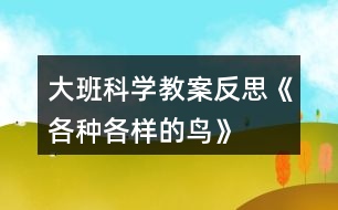 大班科學教案反思《各種各樣的鳥》