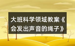 大班科學領域教案《會發(fā)出聲音的繩子》反思