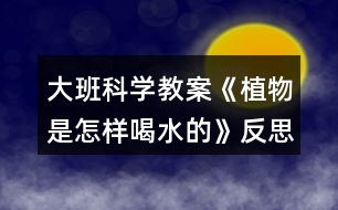 大班科學(xué)教案《植物是怎樣喝水的》反思