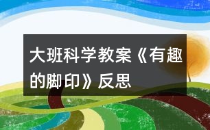 大班科學(xué)教案《有趣的腳印》反思