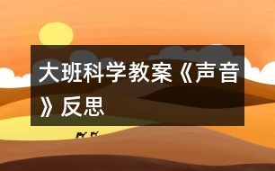 大班科學(xué)教案《聲音》反思