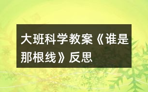 大班科學(xué)教案《誰(shuí)是那根線》反思