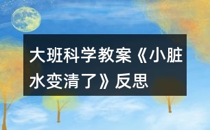 大班科學(xué)教案《小臟水變清了》反思