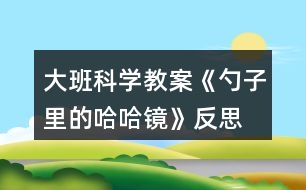 大班科學(xué)教案《勺子里的哈哈鏡》反思