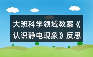 大班科學(xué)領(lǐng)域教案《認(rèn)識(shí)靜電現(xiàn)象》反思