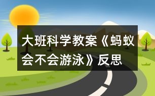 大班科學教案《螞蟻會不會游泳》反思