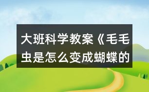 大班科學(xué)教案《毛毛蟲(chóng)是怎么變成蝴蝶的》反思