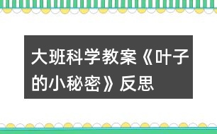 大班科學(xué)教案《葉子的小秘密》反思