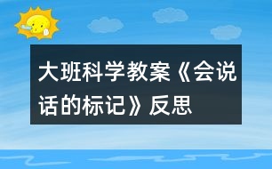 大班科學(xué)教案《會說話的標(biāo)記》反思