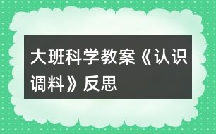 大班科學教案《認識調(diào)料》反思