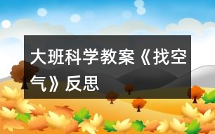 大班科學(xué)教案《找空氣》反思