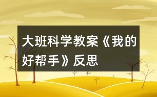 大班科學教案《我的好幫手》反思