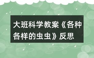 大班科學教案《各種各樣的蟲蟲》反思