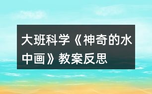 大班科學《神奇的水中畫》教案反思