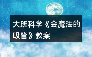 大班科學《會魔法的吸管》教案