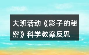 大班活動《影子的秘密》科學教案反思