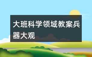 大班科學領域教案兵器大觀