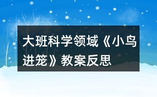 大班科學領域《小鳥進籠》教案反思