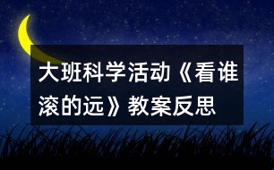 大班科學(xué)活動《看誰滾的遠》教案反思