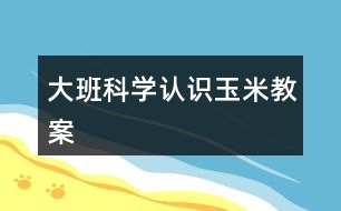 大班科學(xué)認識玉米教案