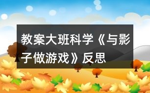 教案大班科學(xué)《與影子做游戲》反思