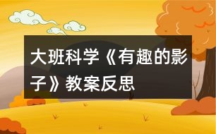 大班科學(xué)《有趣的影子》教案反思