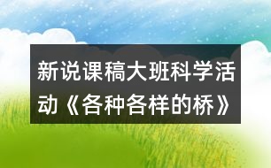 新說(shuō)課稿大班科學(xué)活動(dòng)《各種各樣的橋》教案反思