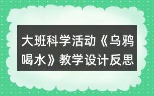 大班科學(xué)活動《烏鴉喝水》教學(xué)設(shè)計反思