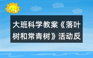 大班科學教案《落葉樹和常青樹》活動反思