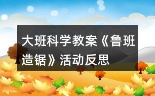 大班科學(xué)教案《魯班造鋸》活動反思