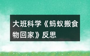 大班科學《螞蟻搬食物回家》反思