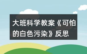 大班科學教案《可怕的白色污染》反思