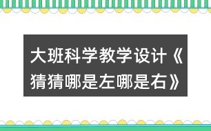 大班科學教學設(shè)計《猜猜哪是左哪是右》反思