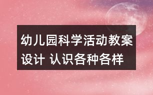 幼兒園科學(xué)活動(dòng)教案設(shè)計(jì) 認(rèn)識(shí)各種各樣的飛機(jī)反思