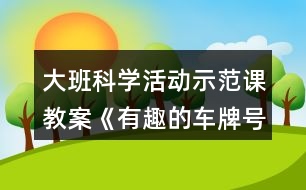 大班科學(xué)活動示范課教案《有趣的車牌號》