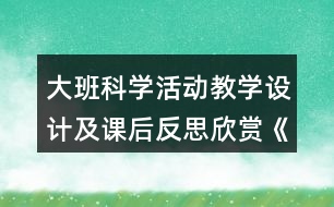 大班科學(xué)活動(dòng)教學(xué)設(shè)計(jì)及課后反思欣賞《鳥(niǎo)的世界》