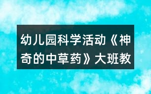 幼兒園科學(xué)活動《神奇的中草藥》大班教案反思